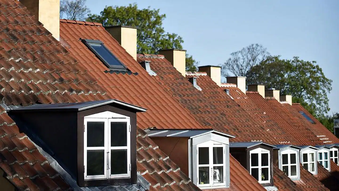 (ARKIV) (Foto: Mathias Løvgreen Bojesen/Ritzau Scanpix)