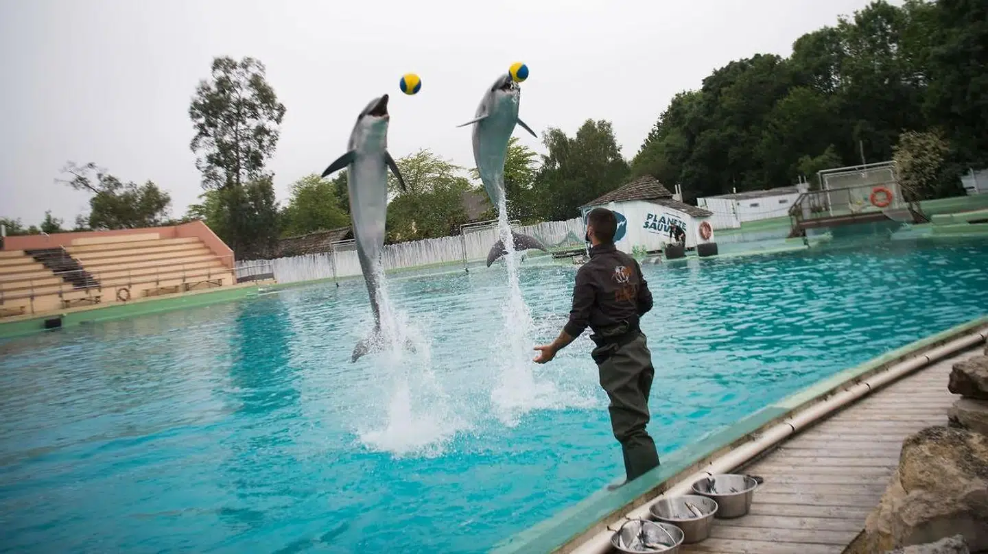 Der er ligheder imellem det mønster, som vi så på aktiemarkedet i 2009 og nu, mener en analytiker (genrefoto).