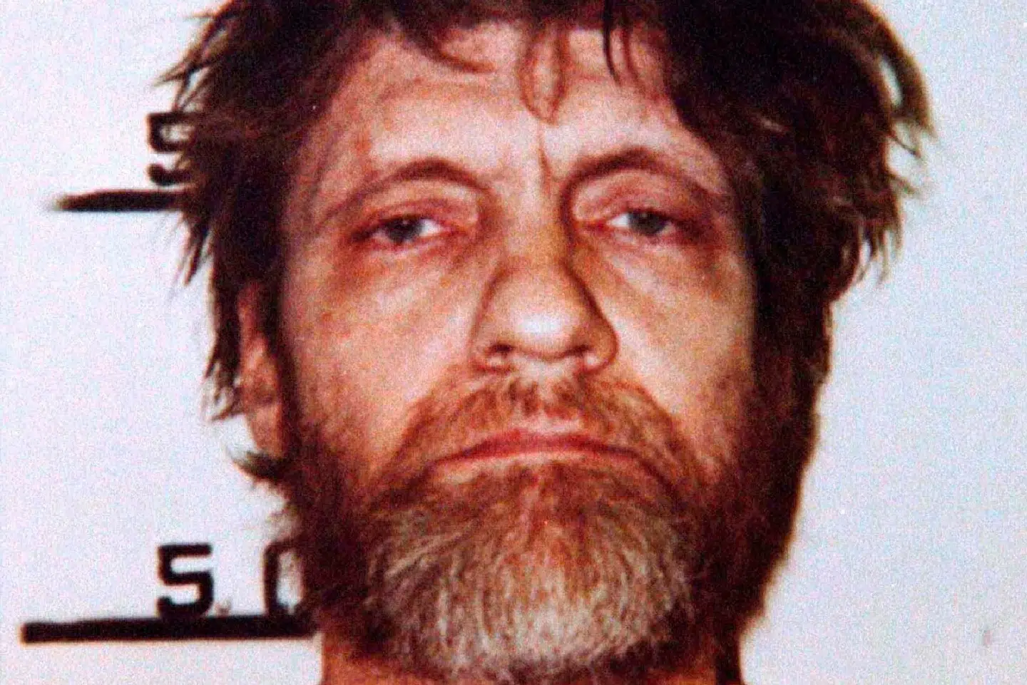Matematikprofessor Ted Kaczynski var uddannet på det berømte universitet Harvard. Men han levede som eneboer i en hytte i Montana. Det var herfra, at han terroriserede det meste af USA i 17 år ved at sende hjemmelavede bomber. Han forklarede senere, at målet var at bekæmpe moderne teknologi, der skader mennesker. Ho New/Ritzau Scanpix