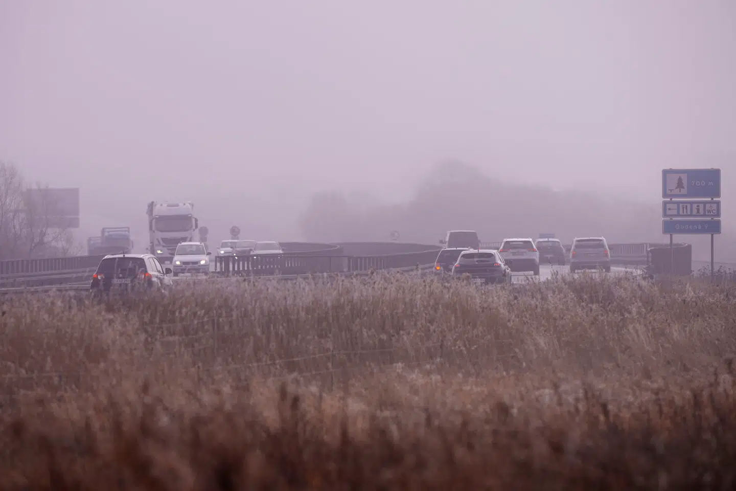 (Foto: Bo Amstrup/Ritzau Scanpix)