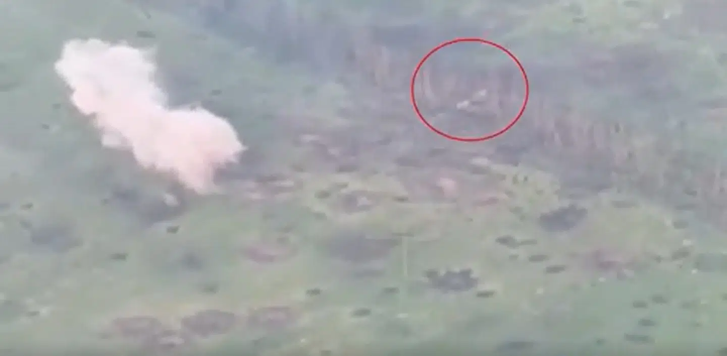 Skærmbillede fra videoen.