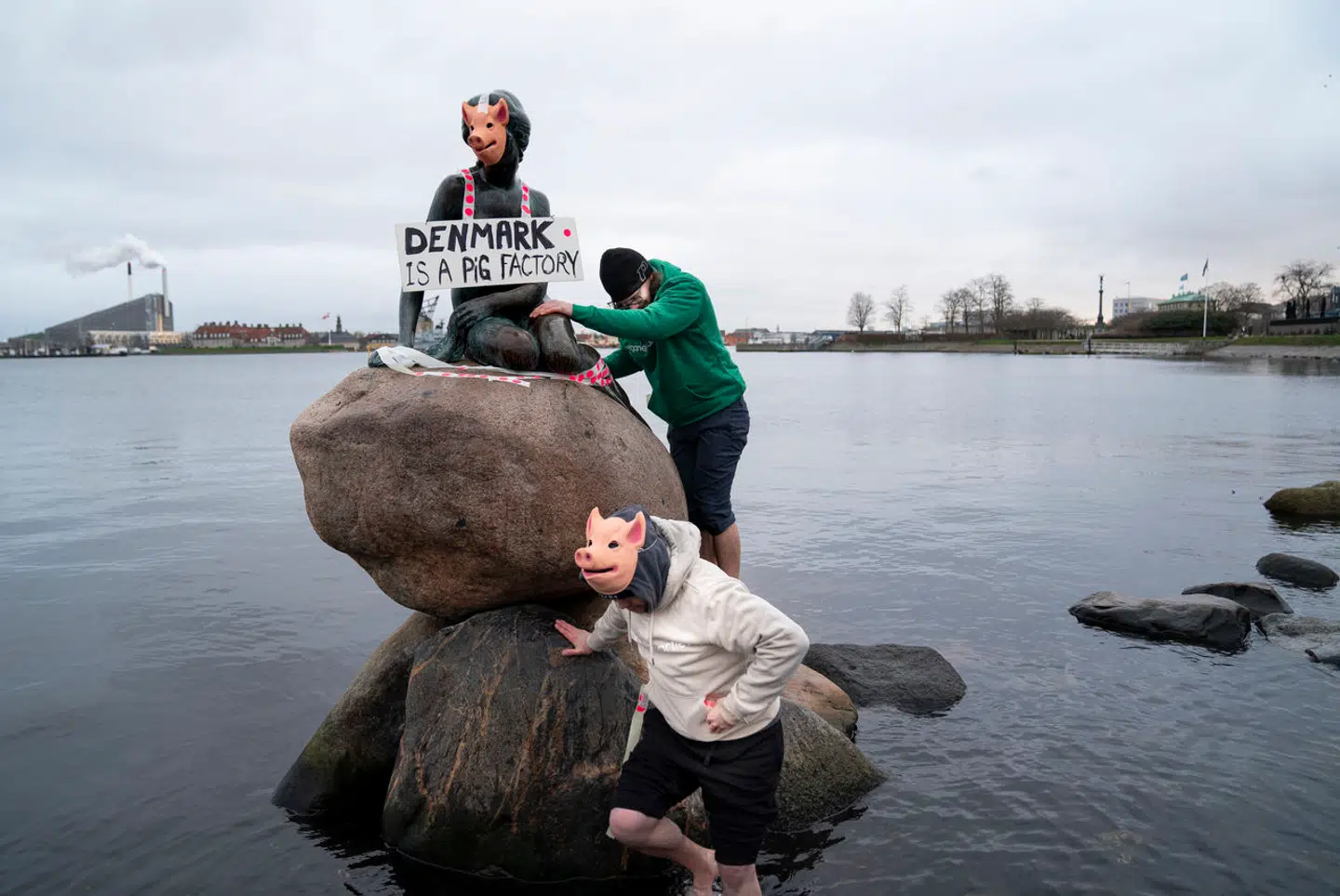 Veganerpartiet laver happening og klæder Den Lille Havfrue ud som en gris, på Langelinie i København 29. januar 2020. Partiet blev kort før folketingsvalget i 2022 en del af Alternativet.