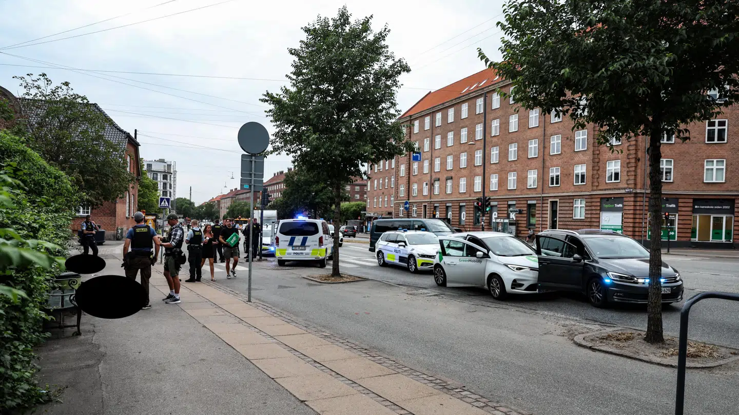 De unge blev lag ti håndjern på fortovet. Foto: Steven Knap