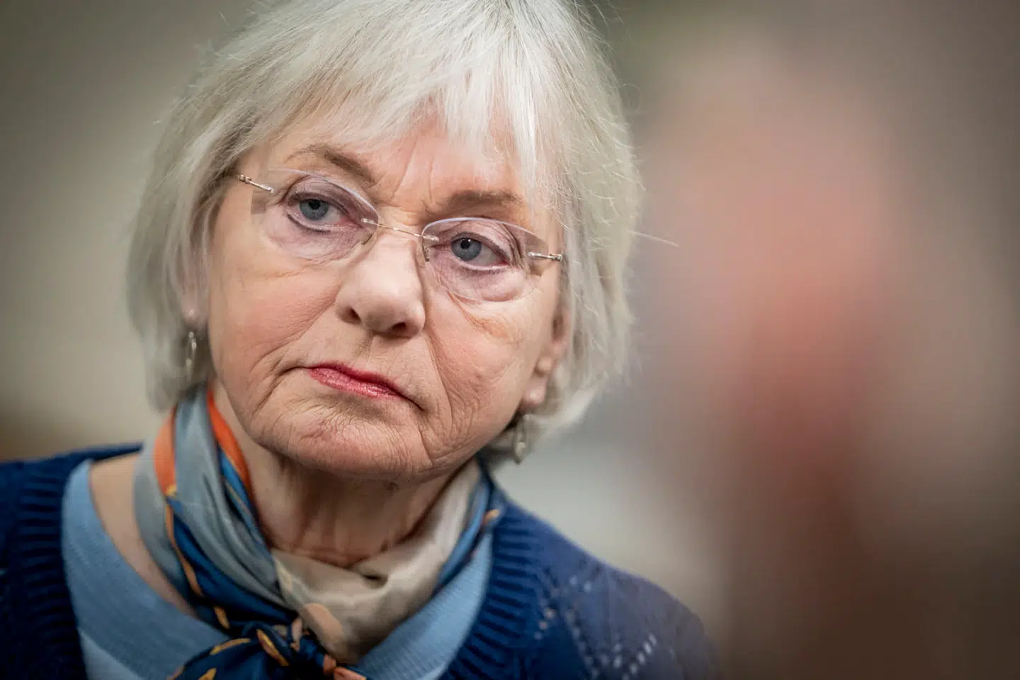 Pia Kjærsgaard (DF) vil nu stille forslag om, at det kun skal være tilladt at flage med Dannebrog ude i de danske haver