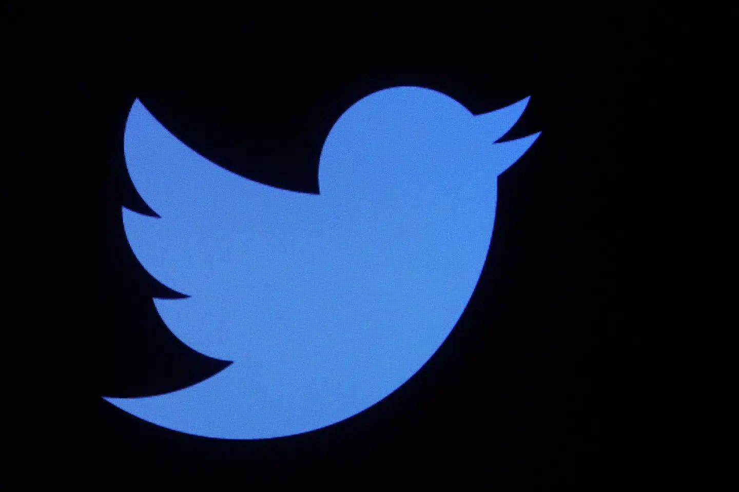 Twitters logo er noget af det, Elon Musk ikke har ændret ved, siden han overtog selskabet i oktober sidste år. Men ellers har han foretaget adskillige ændringer. Brendan McDermid/Reuters