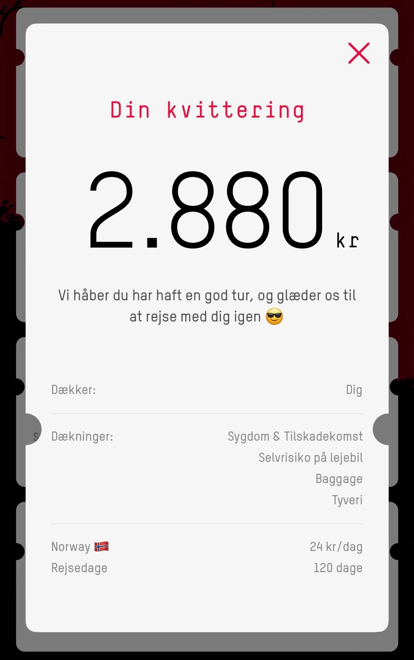 Regningen som Hans Høite fandt, da han tjekkede sin UNDO-app.