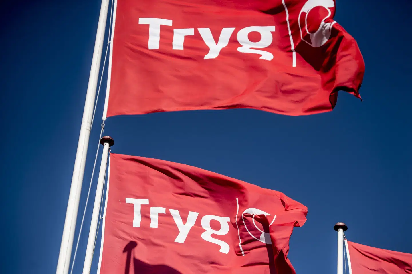 Trygs resultat vokser trods jordskred og stor erhvervsskade | Erhverv ...