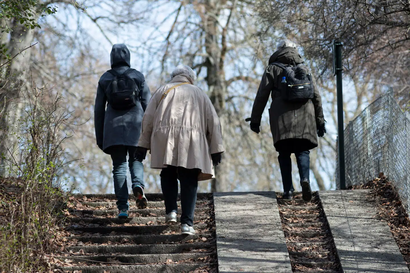 Hvert år bliver omkring 8.000 personer ramt af demens. Men det kan faktisk forebygges.