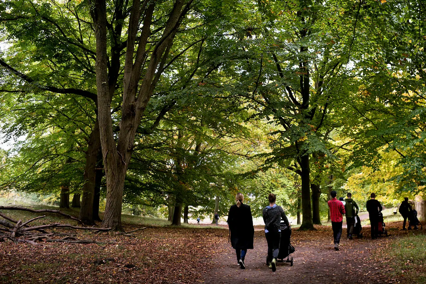 De seneste års forskning har vist, hvor stor betydning daglige gåture kan have for sundheden.