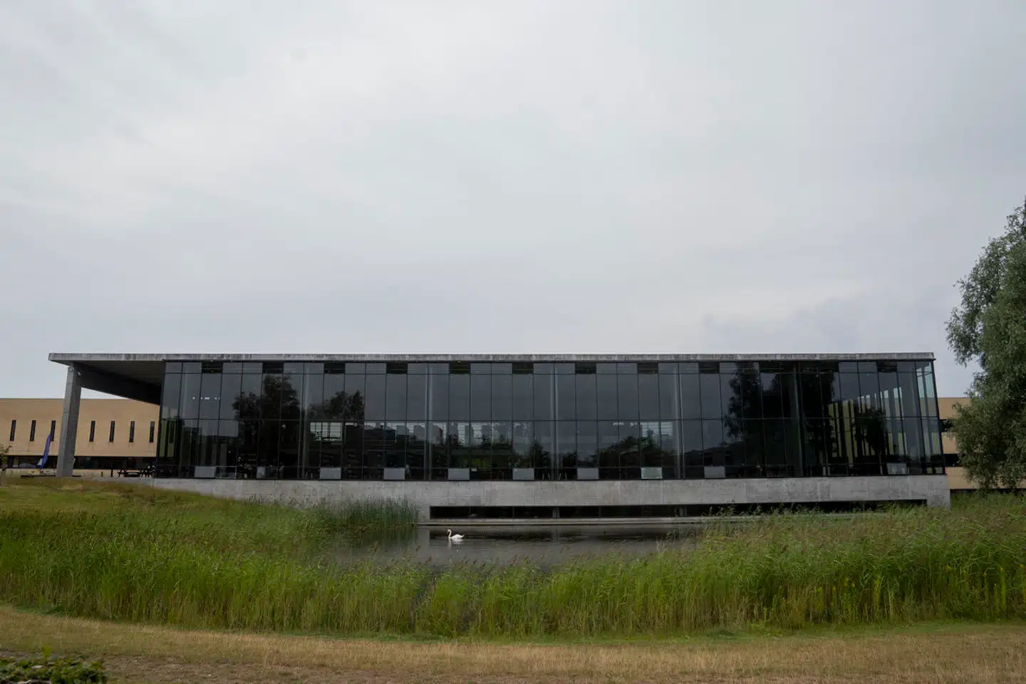 84.073 har i år søgt ind på en videregående uddannelse via kvote 1 og kvote 2. Noget flere end de 79.737 i 2022.