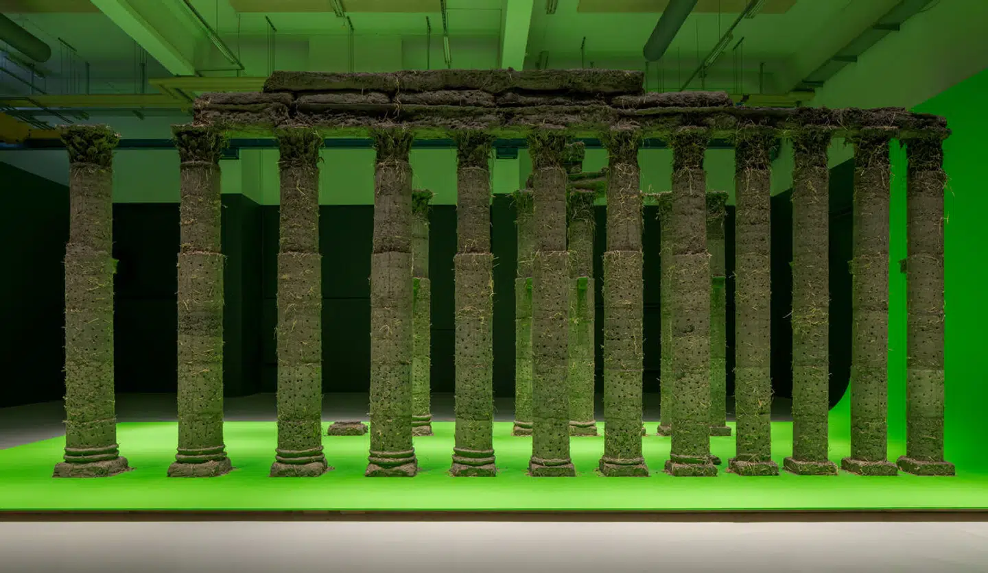 Abbas Akhavan kalder sine værker, der spænder fra monumentale skulpturer og totalinstallationer til tegning, video og performance, for ’studier’ og ’variationer’, da de bliver korrigeret i størrelse og materialer, hver gang han udstiller et nyt sted.