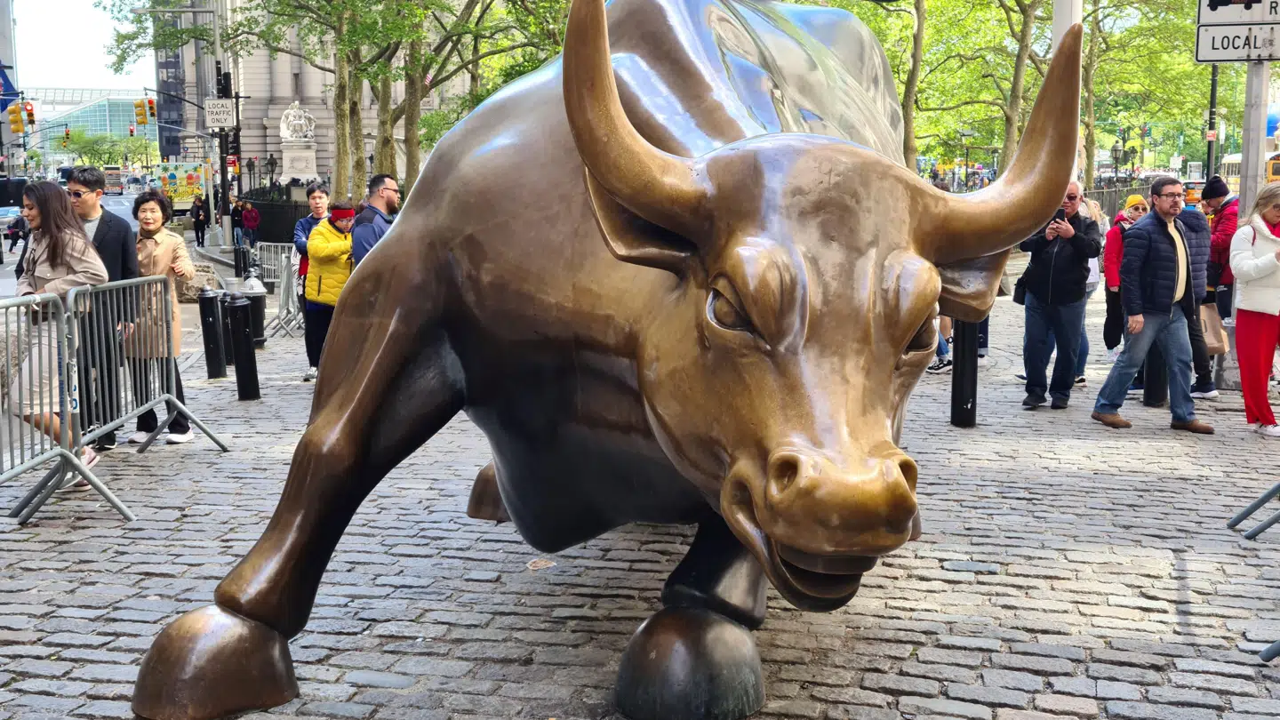 De globale aktiemarkeder har været i hopla i år, og Wall Streets berømte »bull« har været badet i solskin. Aktierne på specielt teknologibørsen Nasdaq har klaret sig usædvanligt godt, men det ser også fint ud for det toneangivne amerikanske aktieindeks S&P 500.