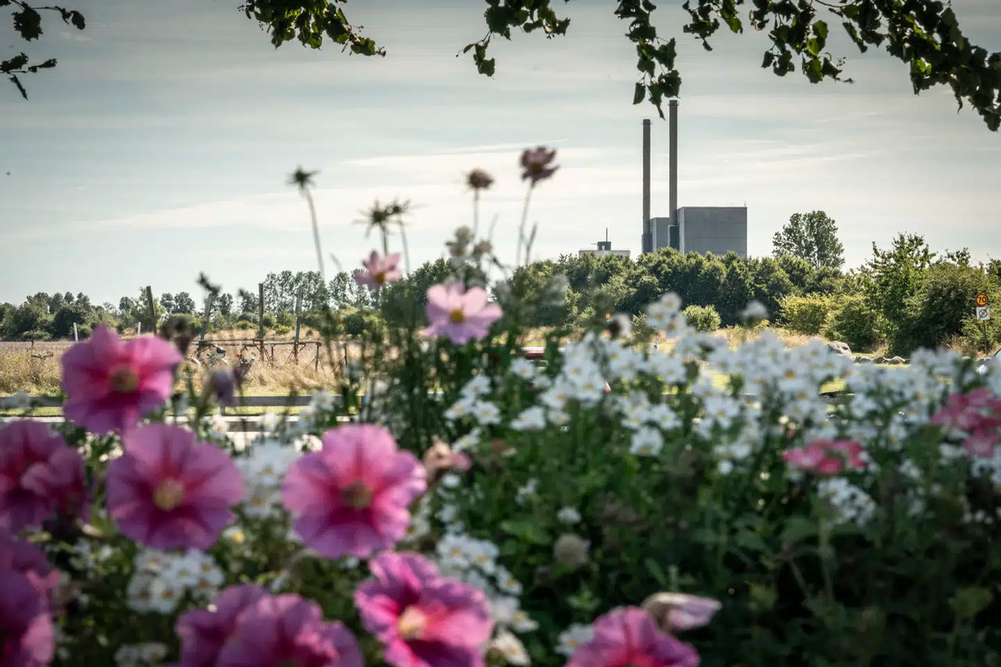 »Hvad skal væk, Barsebäck! Hvad skal ind, sol og vind!«. Sådan lød protesterne i 1980erne mod det svenske atomkraftværk, som lukkede og slukkede i 2005. Arkivfoto: Mads Claus Rasmussen/Ritzau Scanpix