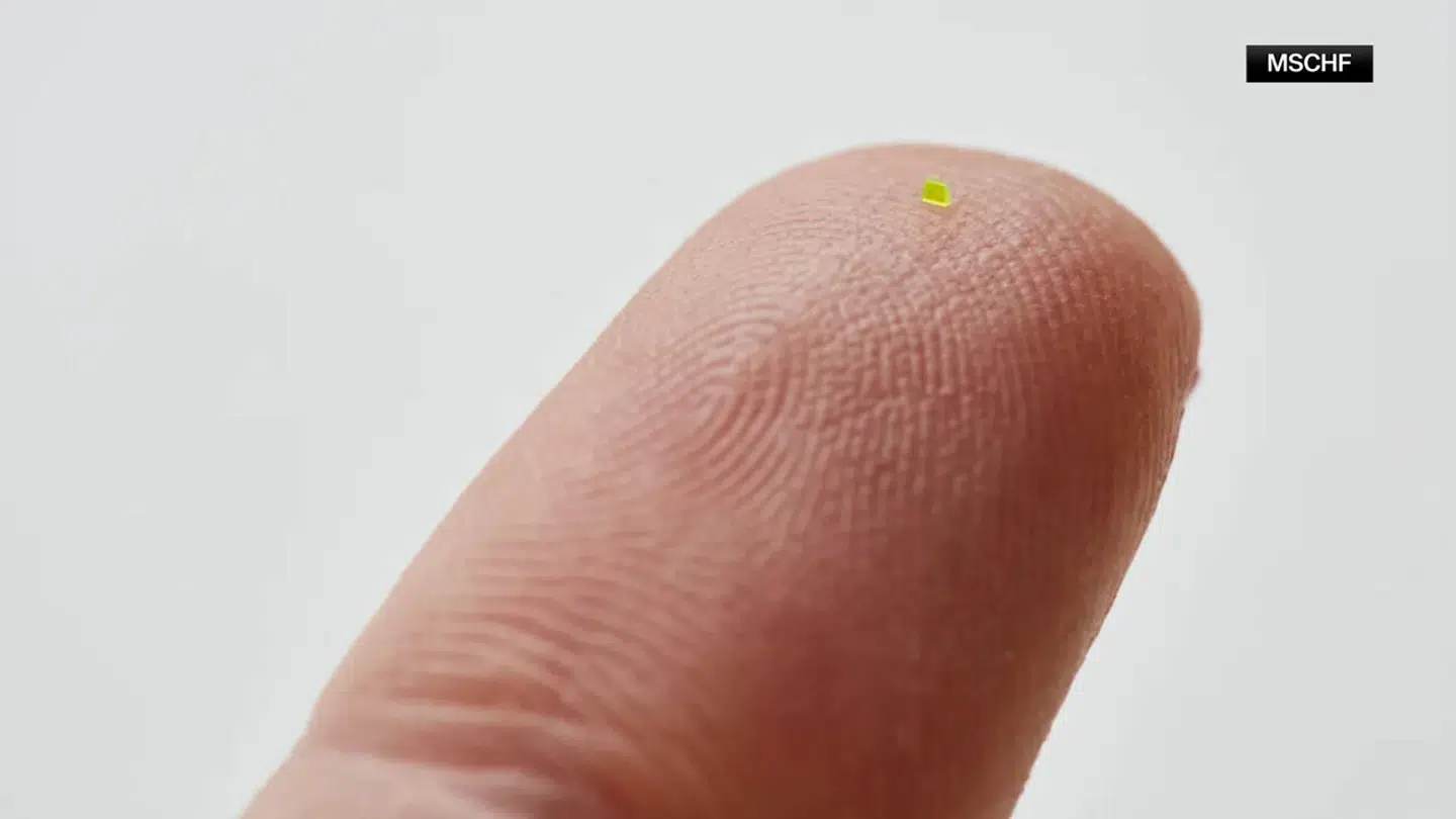 Den lille taske, der er mindre end et saltkorn.