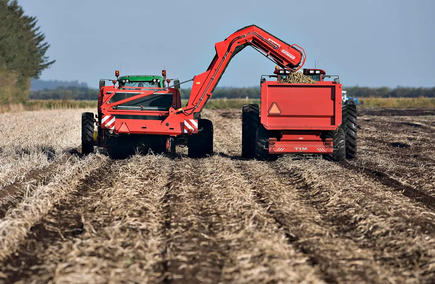 For fjerde år i træk har Miljøstyrelsen givet danske kartoffelavlere lov til at bruge det EU-forbudte sprøjtemiddel Reglone, fremgår det af Miljøstyrelsens bekæmpelsesmiddeldatabase.