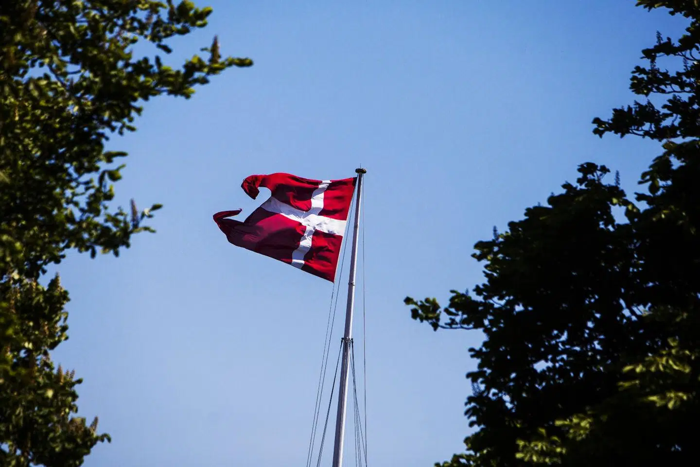 »I den gamle verden, nationalstatens verden, hed idealet: hver mand sin flagstang. I den nye verden er idealet et andet: hver mand sit flag,« skriver Christian Egander Skov.