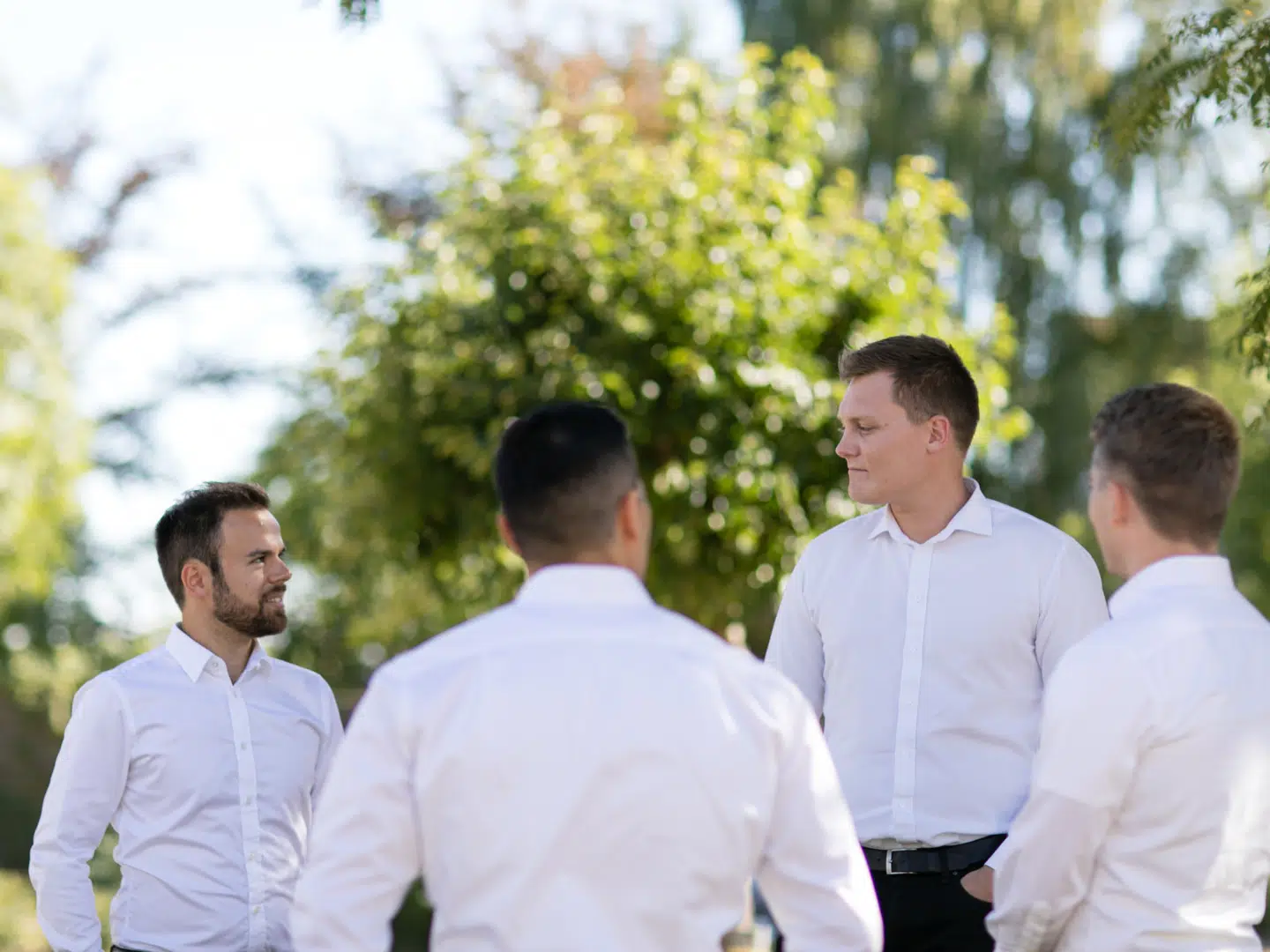 Fem partnere i Nordic Energy House, Mujo Islamovic, Khalil Abouardini, Sebastian Lund, Peter Kudsk og Anders Lindberg Juel kan trække 35 millioner kroner ud i udbytte efter rekordår.