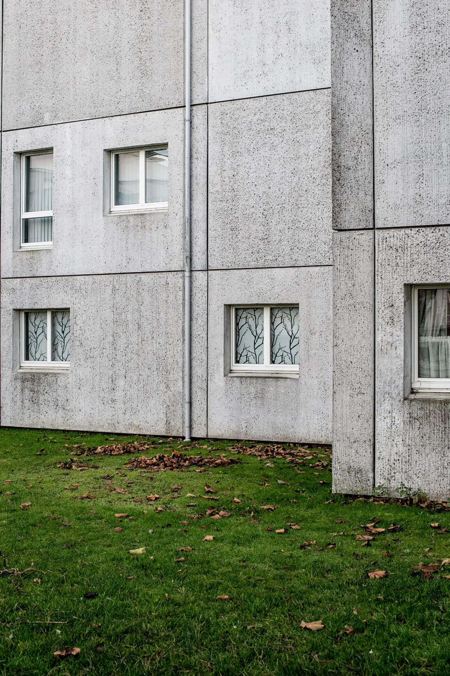 - Selv om Askerød falder ude for ghetto-kriterierne, så er Askerød ikke et normalt boligområde. Vi har en boligsocial helhedsplan for området, og har man det, er det ikke normalt, siger borgmester Pernille Beckmann (V) til Ritzau, da listen over parallelsamfund blev offentliggjort sidste år.