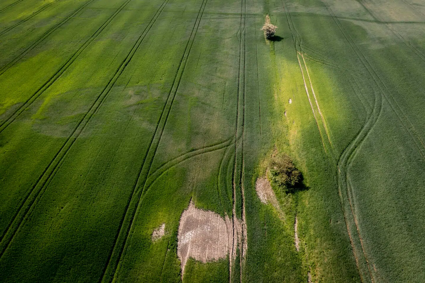 »Når talen falder på, at bønderne lider under tørken, er det af en anden årsag end vejret,« skriver Peter Kiær.