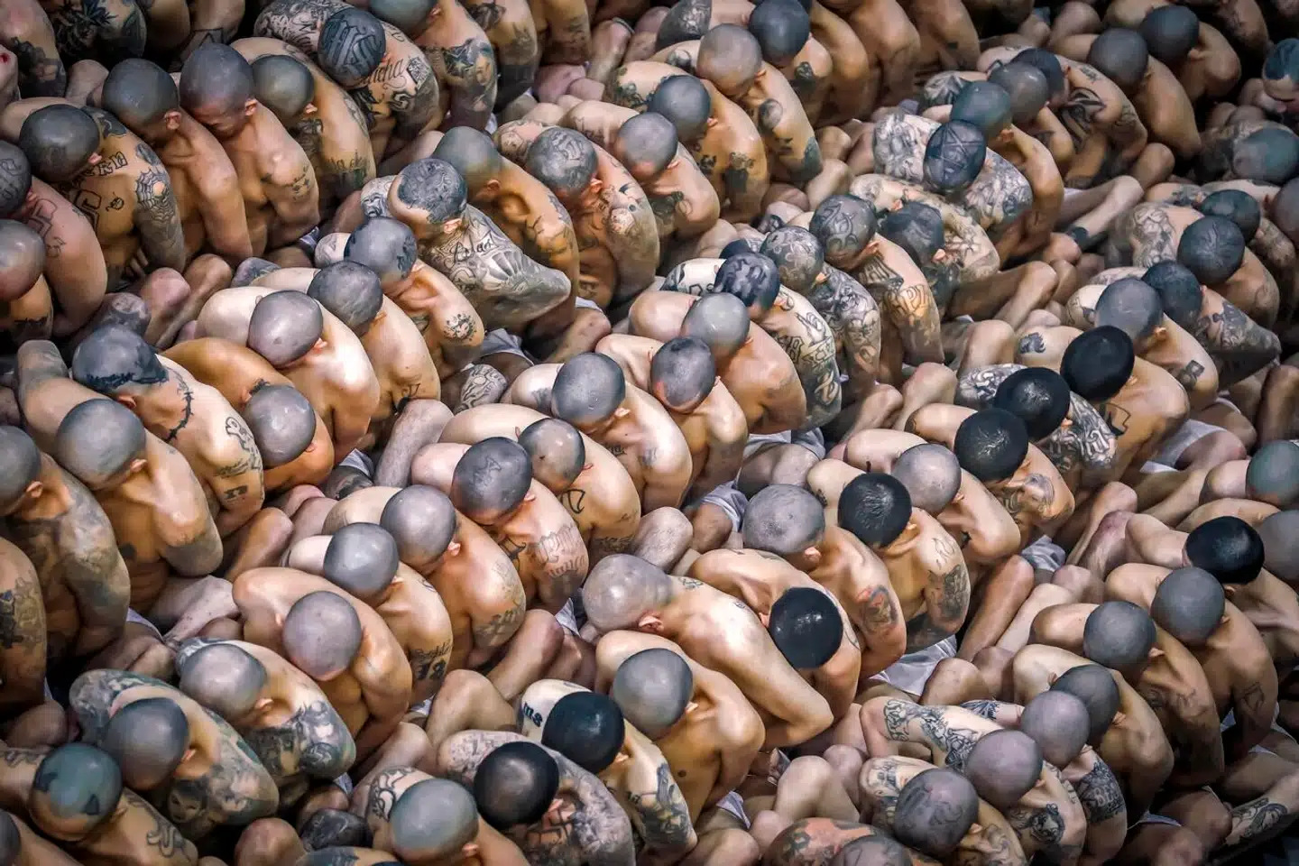 »Når internationale forskere forsøger at forstå og forklare, hvorfor visse områder genererer kriminalitet, søger de bredt. Hvordan forklarer man for eksempel, at selvom kun otte procent af jordens befolkning bor i Latinamerika, bliver en tredjedel af alle drab begået på dette kontinent? En vigtig og grundlæggende faktor er hurtige demografiske forandringer,« skriver Per Brinkemo. På billedet ses fanger i et nyt fængsel uden for El Salvadors hovedstad, San Salvador.