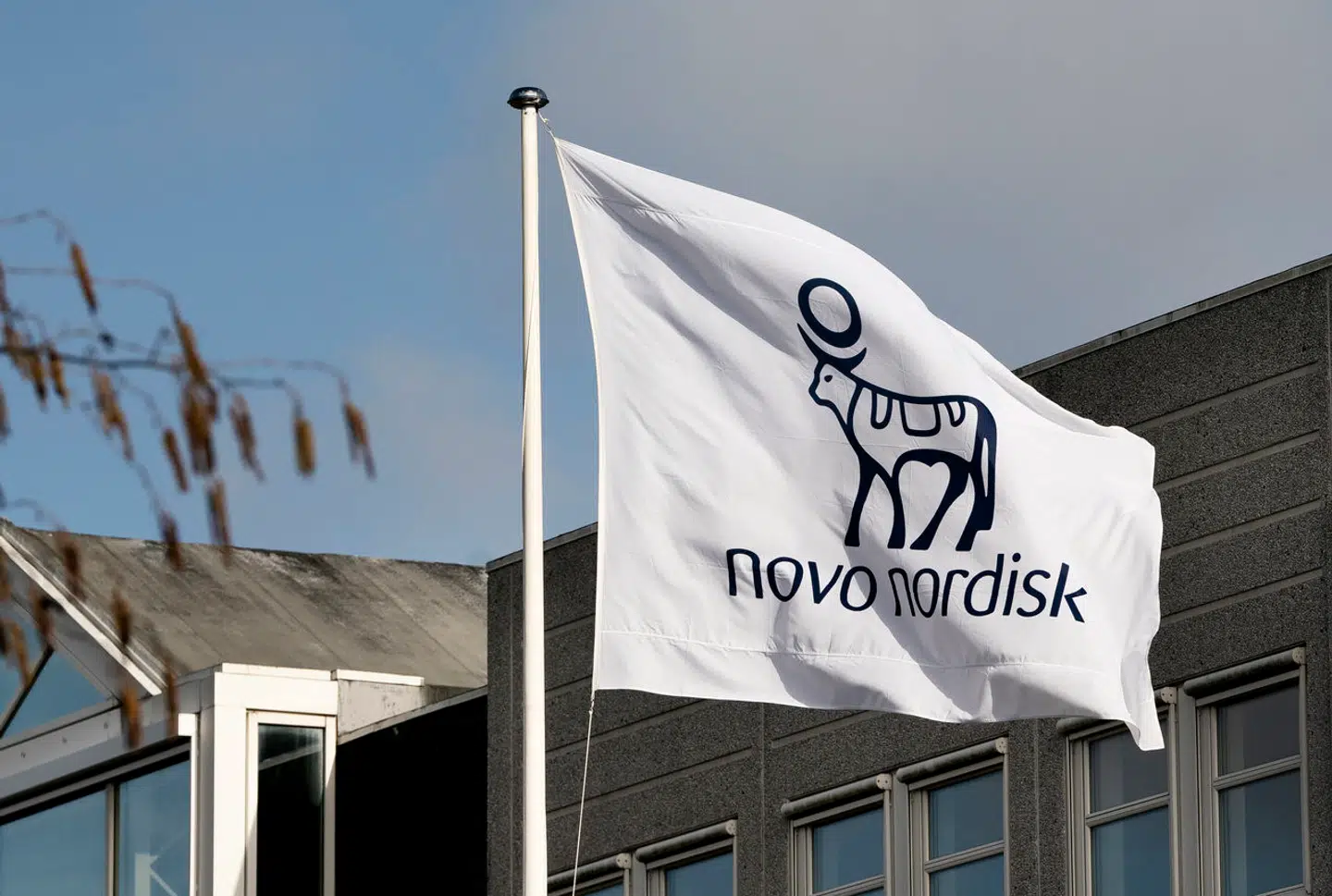 Novo Nordisks aktiekurs er fordoblet over de seneste tre år, og markedsværdien lyder nu på 2.500 milliarder kroner. Den store vækst skyldes især lanceringen af slankemidlerne Ozempic og Wegovy.