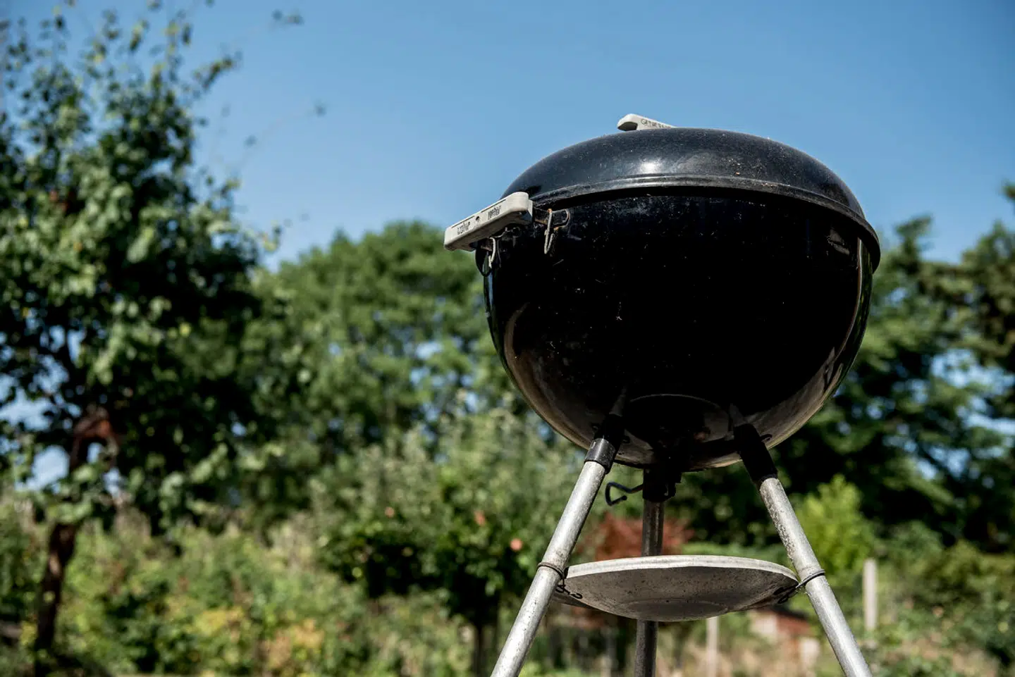 Flere og flere kommuner indfører afbrændingsforbud. Tjek, om din kommune er ramt, og hvilke regler du skal overholde.