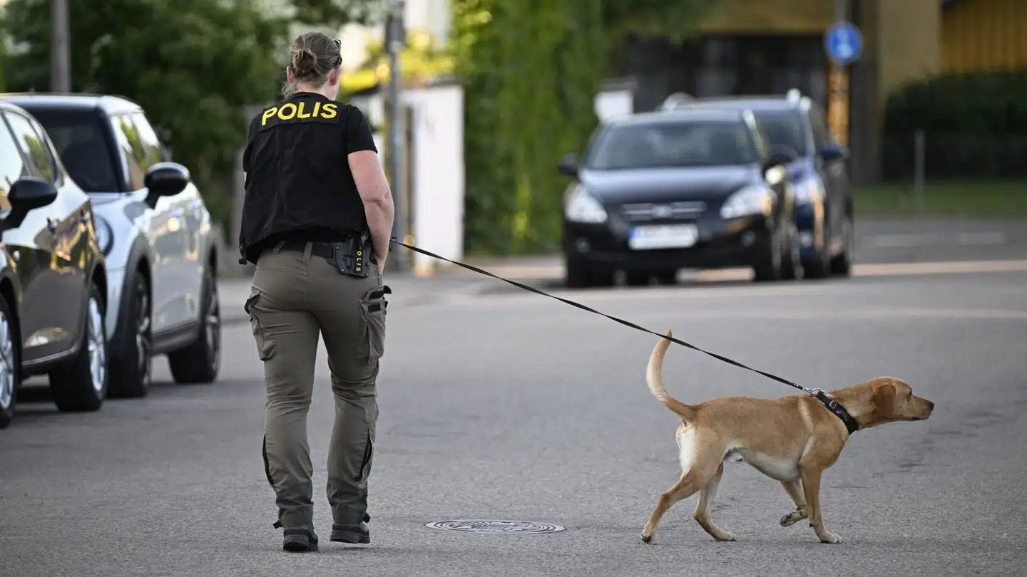 En pigen blev fundet udendørs af en tilfældig forbipasserende, som anmeldte hændelsen til politiet i det sydlige Sverige omkring klokken 17 mandag.