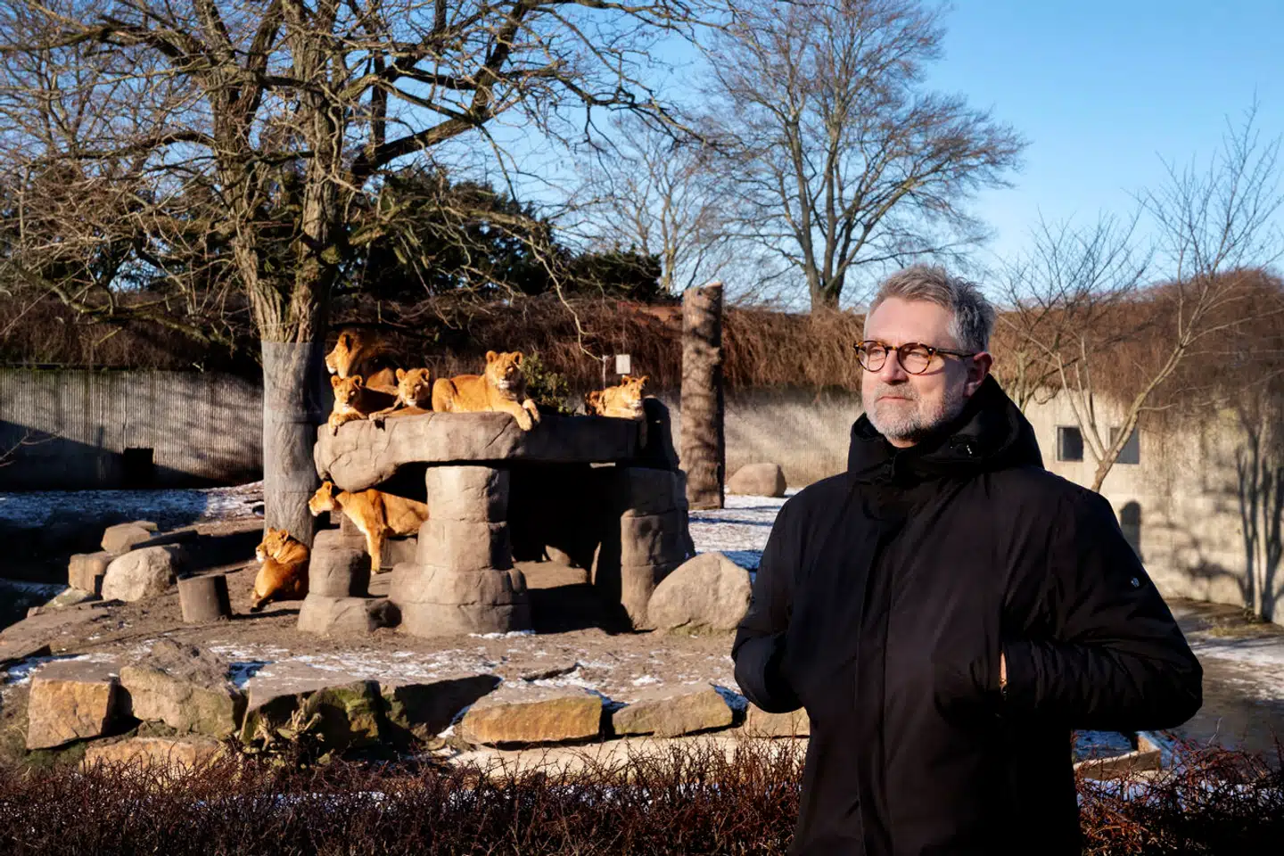 Hans bratte afsked med Zoo var et mysterium. Nu er tidligere direktør Jørgen Nielsen under anklage for ydmygende og grænseoverskridende adfærd igennem flere år.