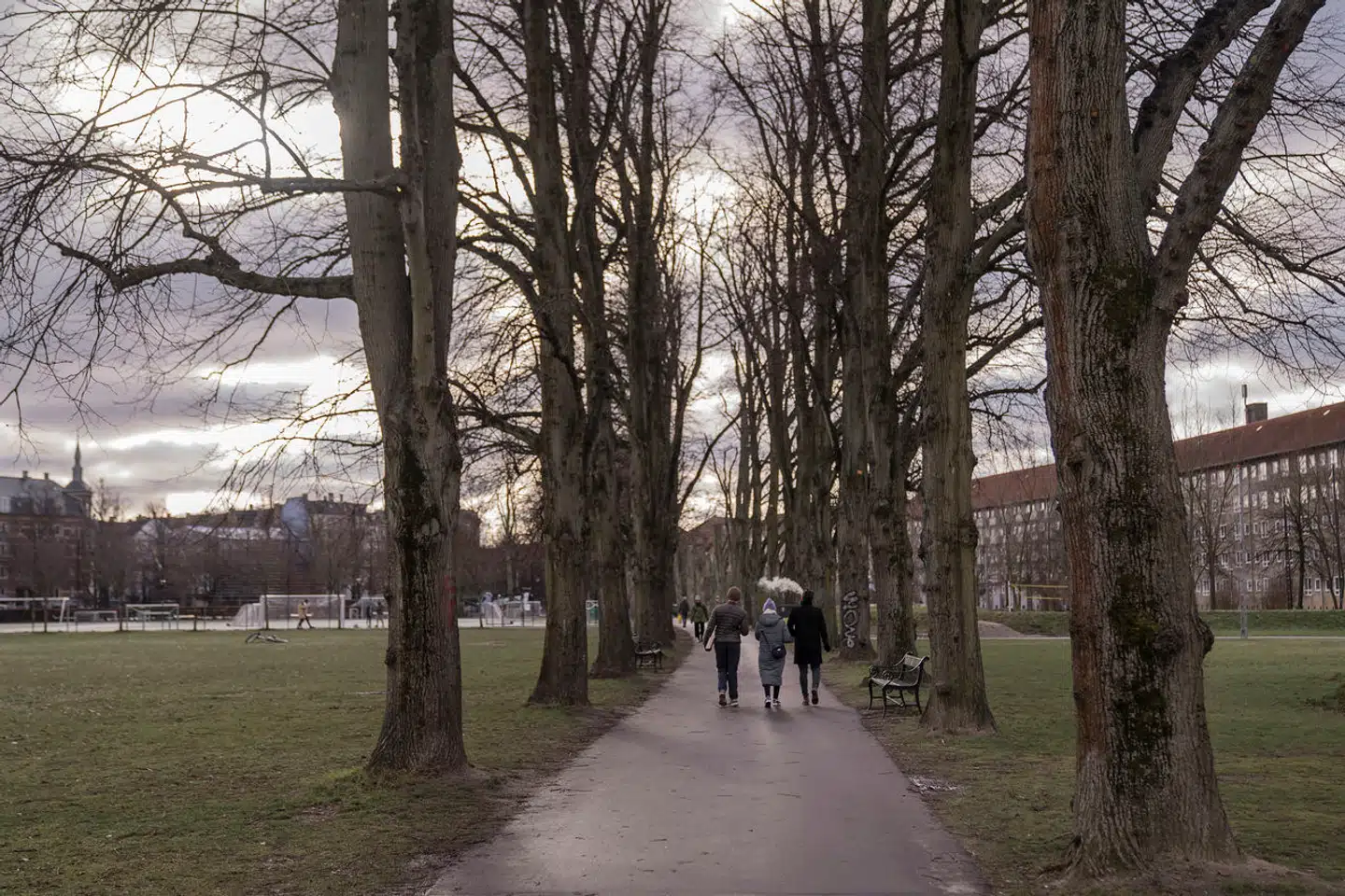 Pladsen kommer efter alt at dømme til at ligge i bydelens store park. Arkivfoto: Thomas Lekfeldt