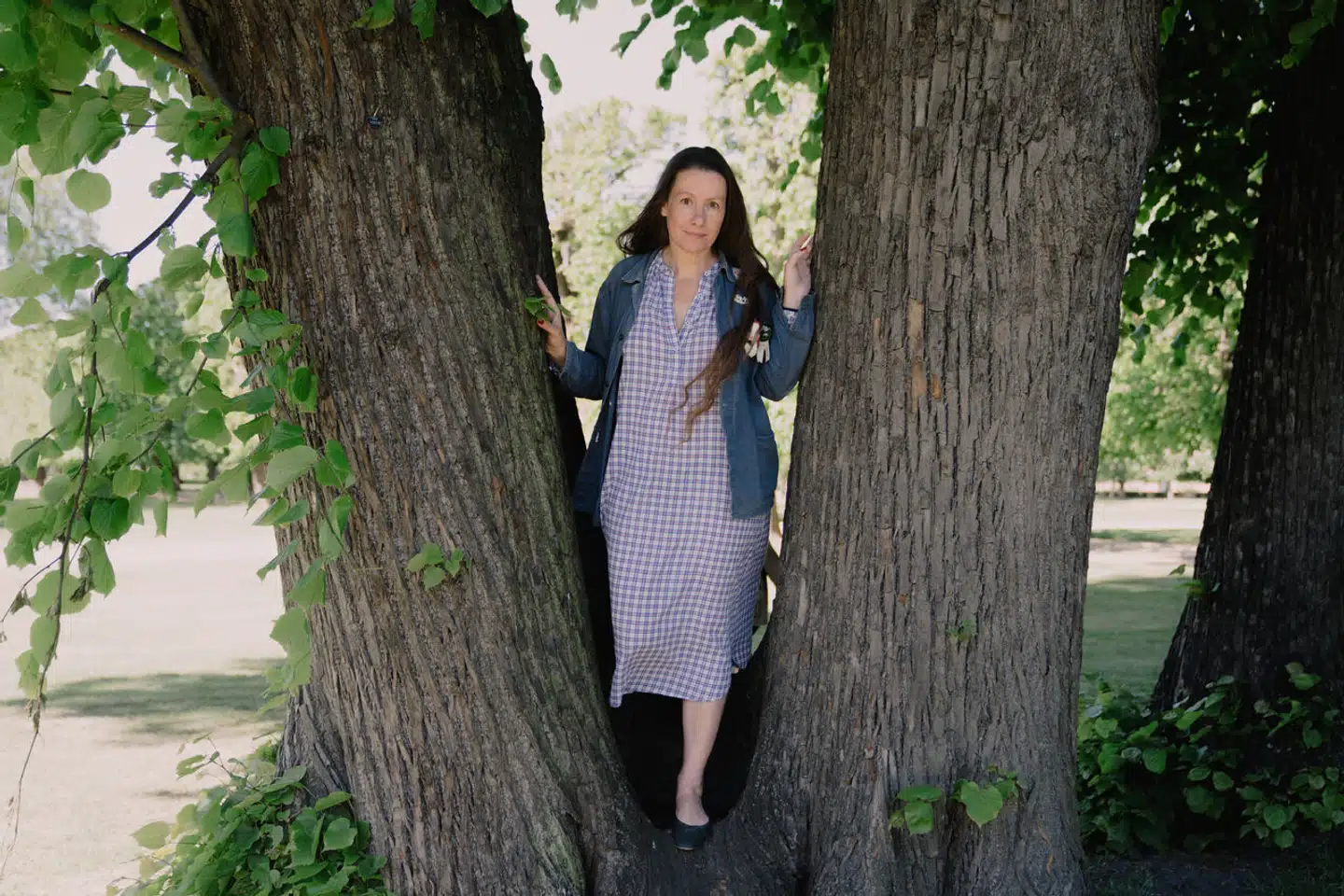 Bøgerne om pigen Mira er kortprosa i tegneserieform, illustreret af Rasmus Bregnhøi. Ud over det professionelle samarbejde danner Sabine Lemire og Rasmus Bregnhøi også par privat. Tilsammen har de seks børn i alderen 15 til 25 år.