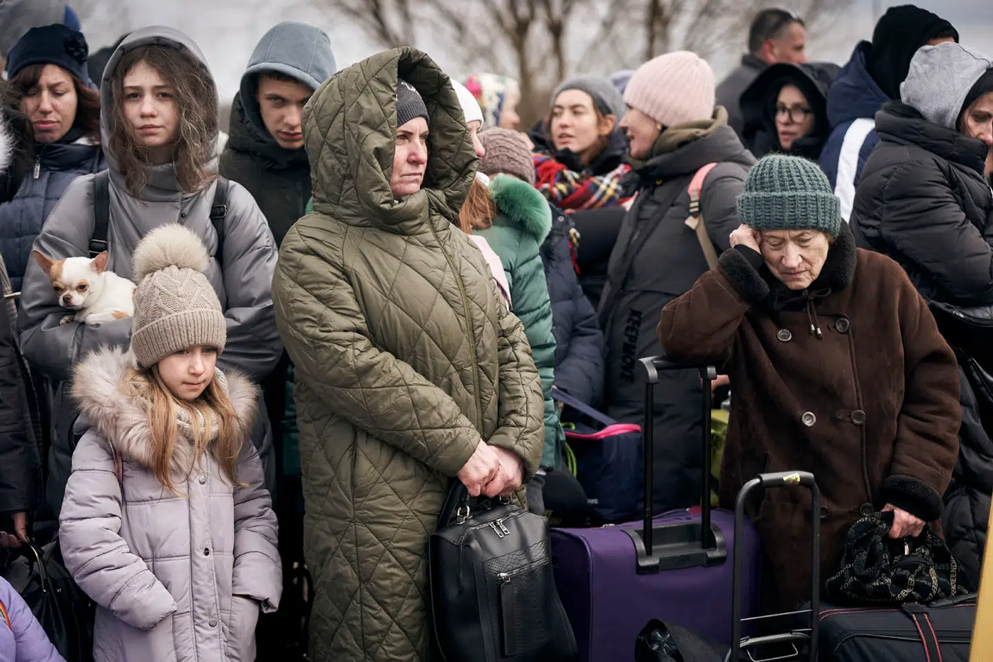 De ukrainske flygtninge består hovedsageligt af kvinder, ældre og børn, da alle mænd under 60 år blev forbudt at flygte og opfordret til at forsvare landet mod Rusland.