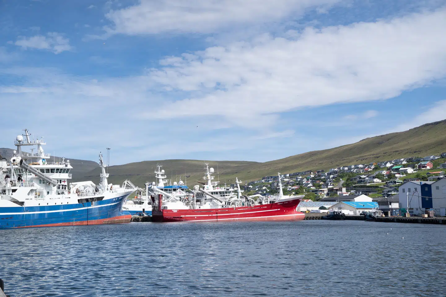 Ifølge medierne lægges der op til, at russiske skibe kun må omlaste cirka 100.000 ton havfisk, som de fisker i færøsk farvand. (Foto: Ida Marie Odgaard/Ritzau Scanpix)