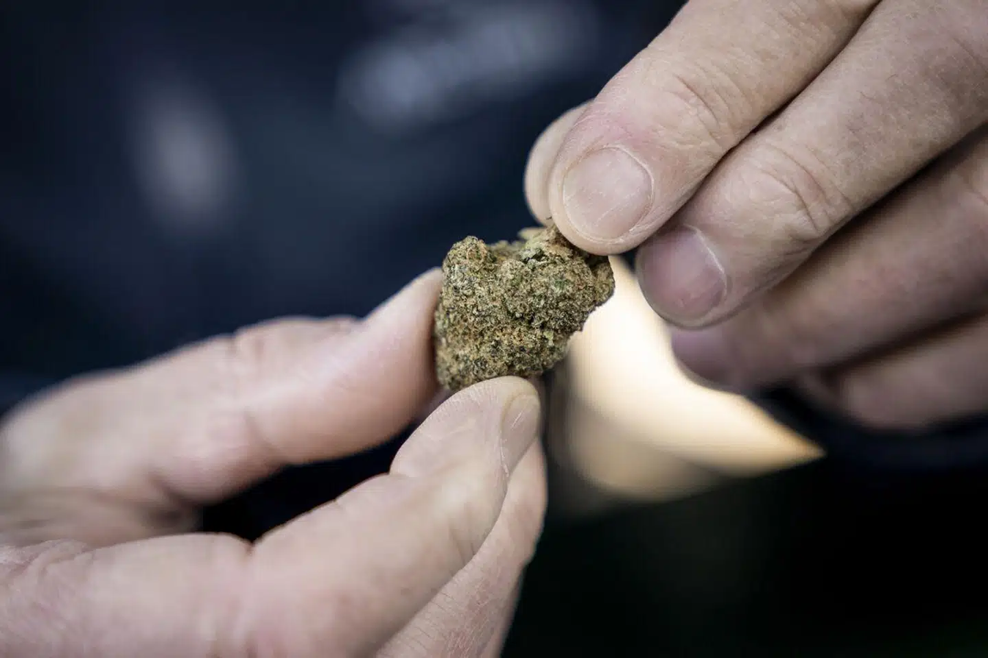 »Udfordringen er, at den manglende regulering af både det illegale og legale cannabismarked i Danmark lige nu udgør en række alvorlige folkesundhedsrisici,« skriver Sinikka L. Kvamme og Birgitte Thylstrup.