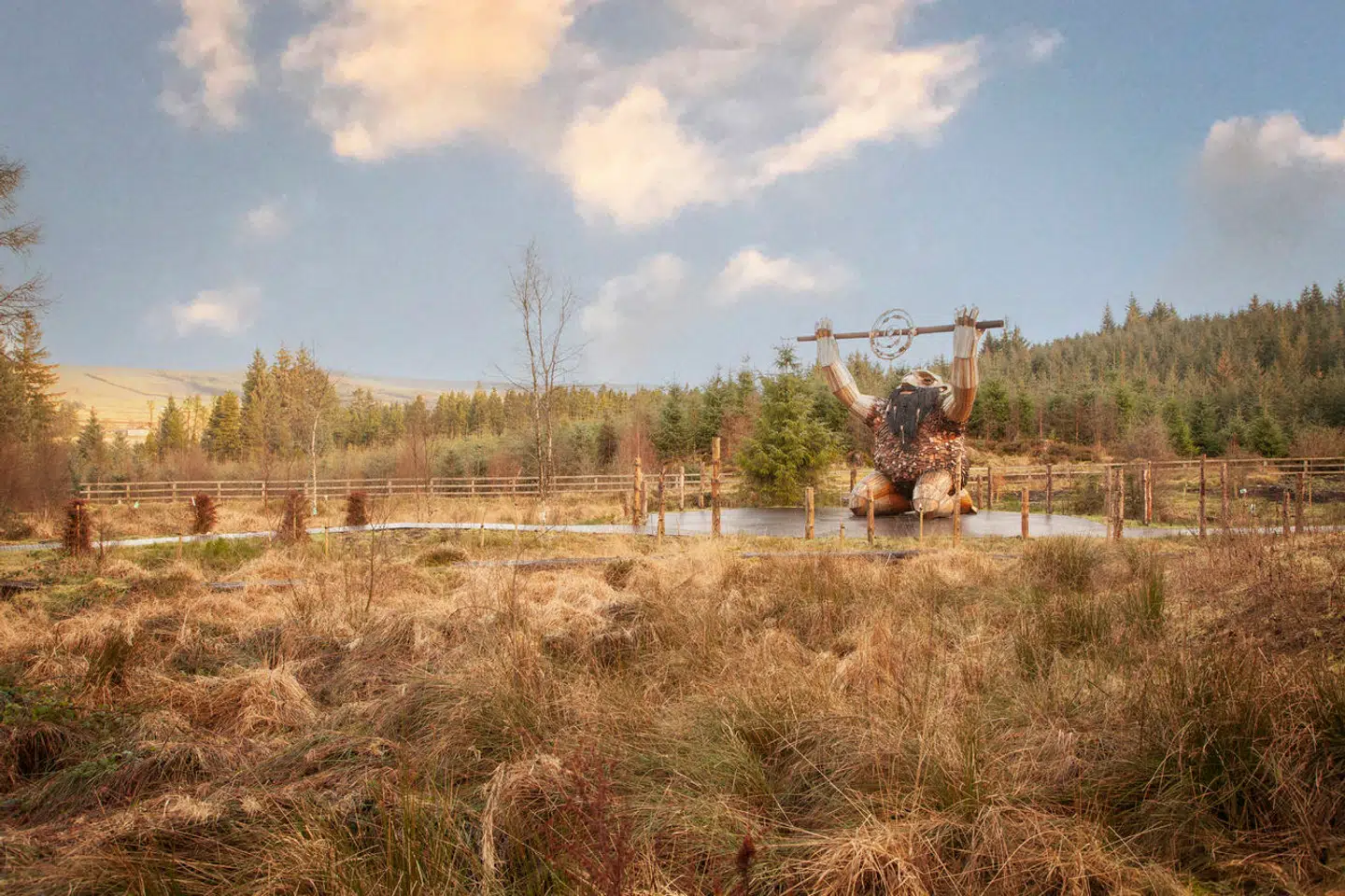 Denne fyr hedder »Ceoldán, the Stargazer« og befinder sig i Davagh Forest.