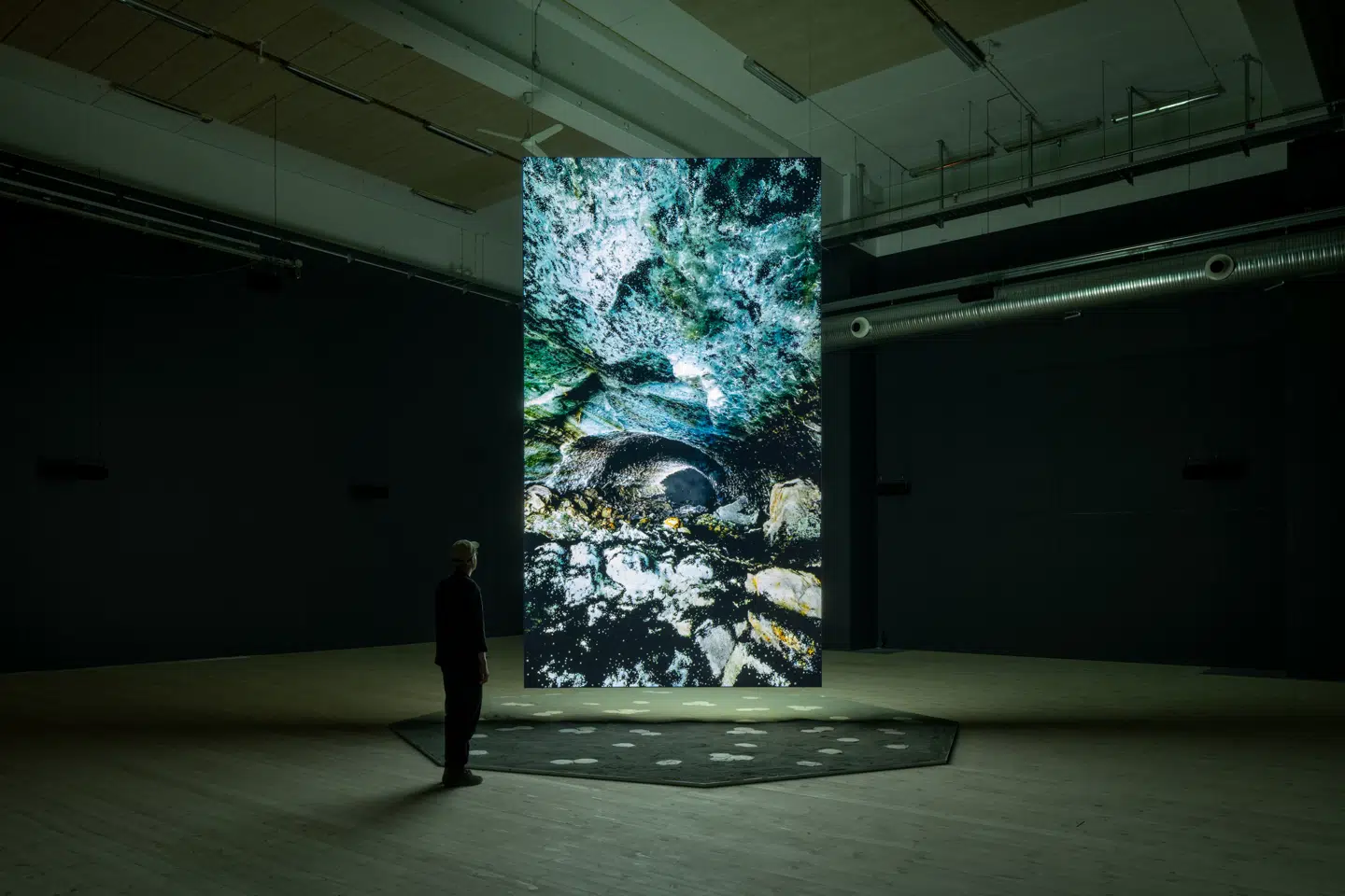 Jakob Kudsk Steensens poetiske videoinstallation tager udgangspunkt i tid, vådområder og vandets tilstand – fra væske til krystal. Værket nærstuderer livets former inde i en gletsjer i Schweiz og registrerer naturens langsomme bevægelse i de sjældne og unikke isformationer og deres nuværende tilbagegang. Jakob Kudsk Steensen: »Tongues of Verglas«, 2023.