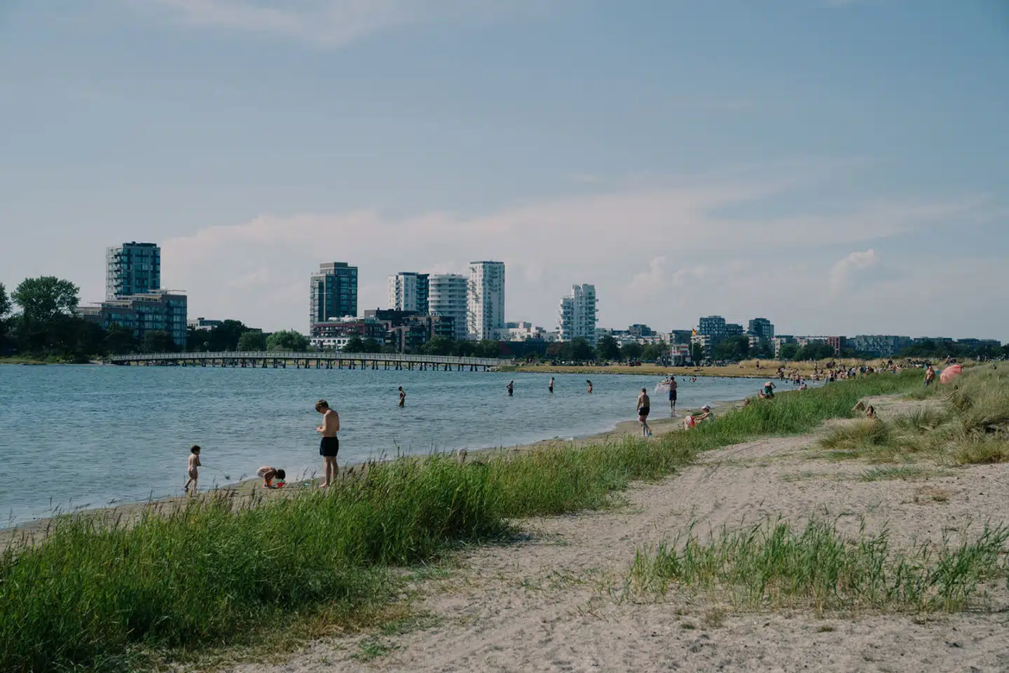 Hunde skal holde sig til stisystemet og i øvrigt færdes i snor i Amager Strandpark til og med august.