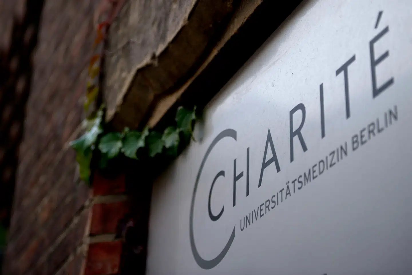 ARCHIV - Das Eingangsschild der Charité - Universitätsmedizin Berlin, aufgenommen am 20.10.2012 in Berlin. Die Berliner Charité erwartet in diesem Jahr einen neuen Geburtenrekord. Bereits bis Anfang Dezember habe es 5028 Geburten in den Kliniken gegeben, bis Ende des Jahres würden schätzungsweise 5600 Kinder geboren, teilte die Uni-Klinik auf Anfrage mit. (zu dpa 'Wieder Babyboom an der Charité' vom 30.12.2018) Photo by: Marc Tirl/picture-alliance/dpa/AP Images
