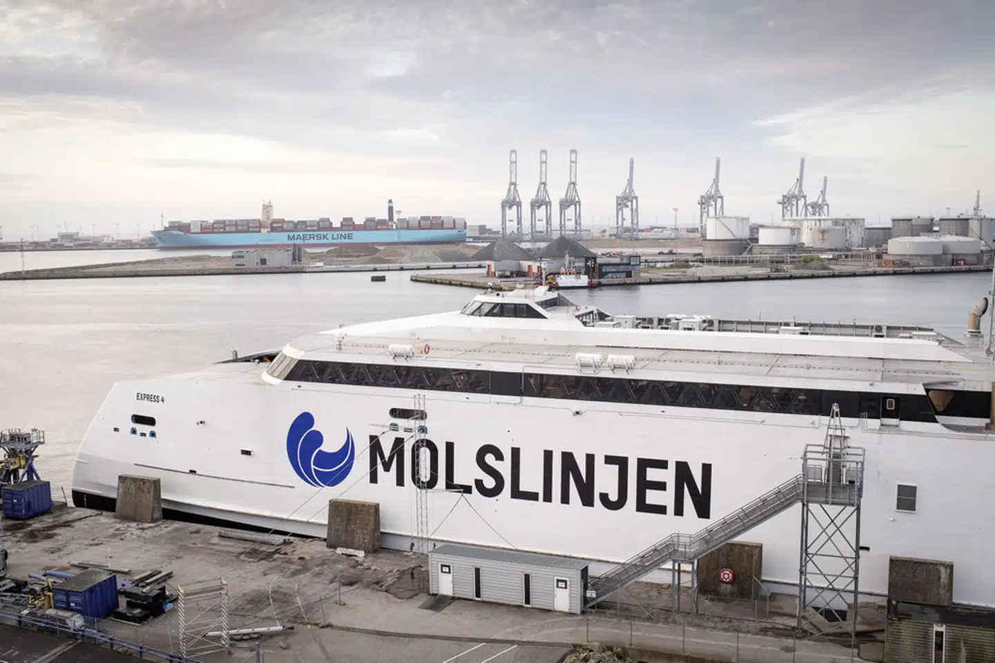 En journalist fra Jyllands-Posten overhørte om bord på Molslinjen en telefonsamtale, som den nordjyske storbonde Flemming Fuglede Jørgensen førte med erhvervsmanden Søren Enggaard. Nu har de to mænd erkendt sig skyldige i insiderhandel. (Arkivfoto). - Foto: Bo Amstrup/Ritzau Scanpix