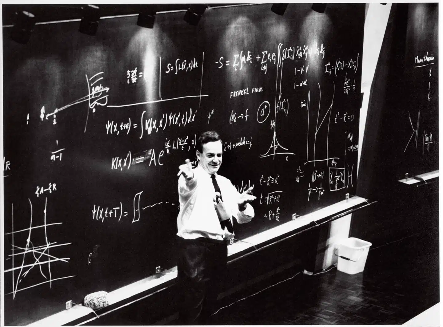 I »Stella Maris« er hovedpersonen det skizofrene matematikgeni Alicia. I den virkelige verden var den teoretiske fysiker Richard Feynman (1918-1988) en af de mest indflydelsesrige fysikere i det 20. århundrede.
