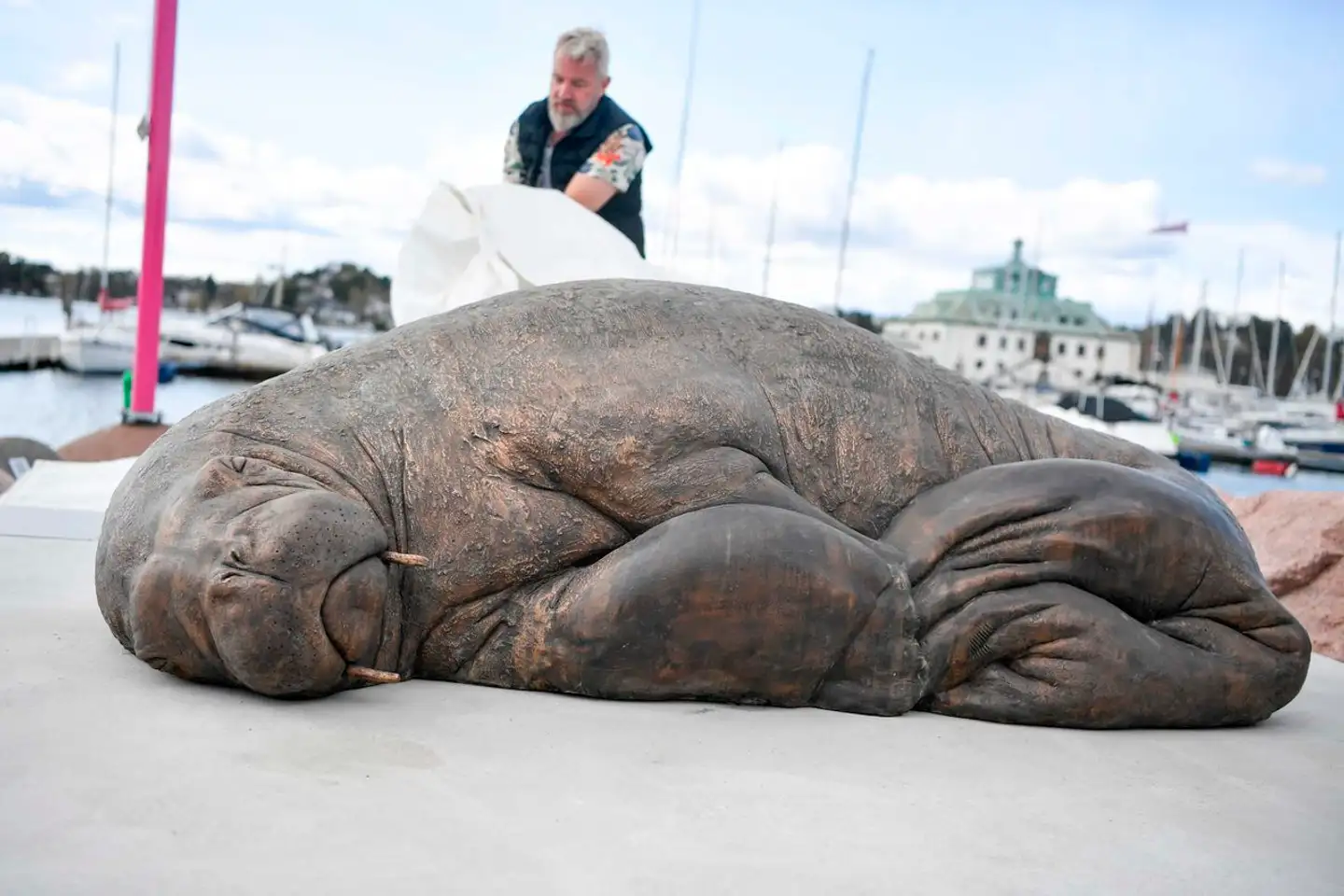 Her ses den nye bronzestatue af hvalrossen Freya, som i fredags blev afsløret på havnen i Oslo.