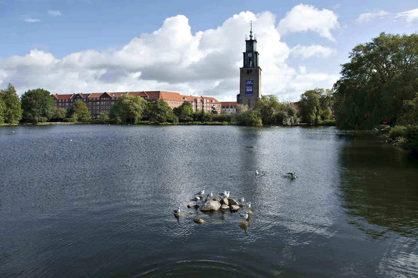 Siden januar er der blevet indsamlet flere hundrede døde og syge fugle i området omkring Østre Anlæg i Aalborg. De indsamlede fugle har været mistænkt for at være ramt af fugleinfluenza, men nu viser en undersøgelse, at de undersøgte fugle er blevet forgiftet med giftstoffet chloralose.
