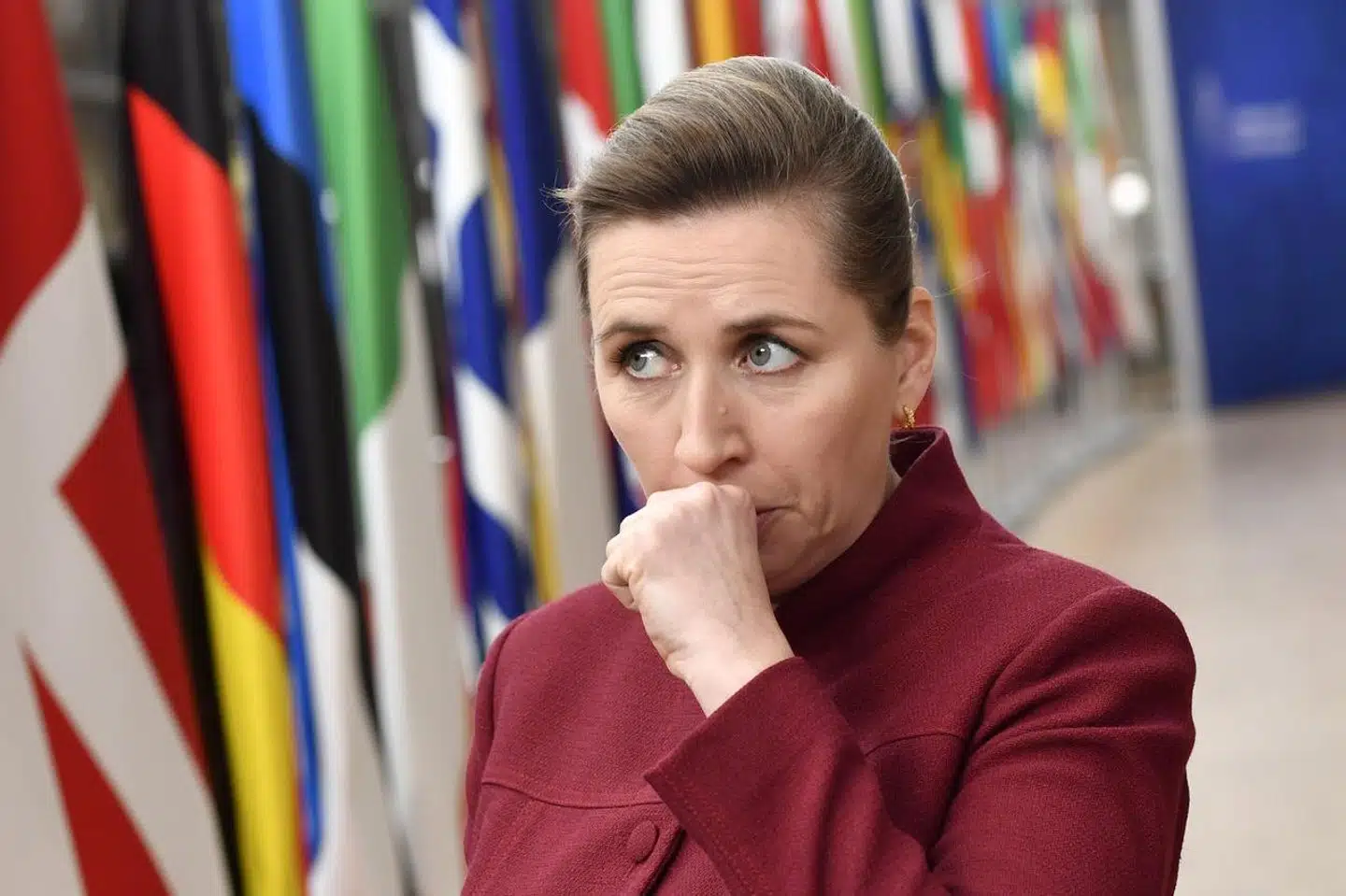 »På trods af bred støtte, herunder positive tilkendegivelser i 89 procent af de individuelle svar på EU-høringen, er mange EU-medlemsstater interesserede i at fjerne denne forpligtelse fra direktivet,« skriver Nille Skalts, Jacob Ørnstrand, Søren Ejlersen m.fl.