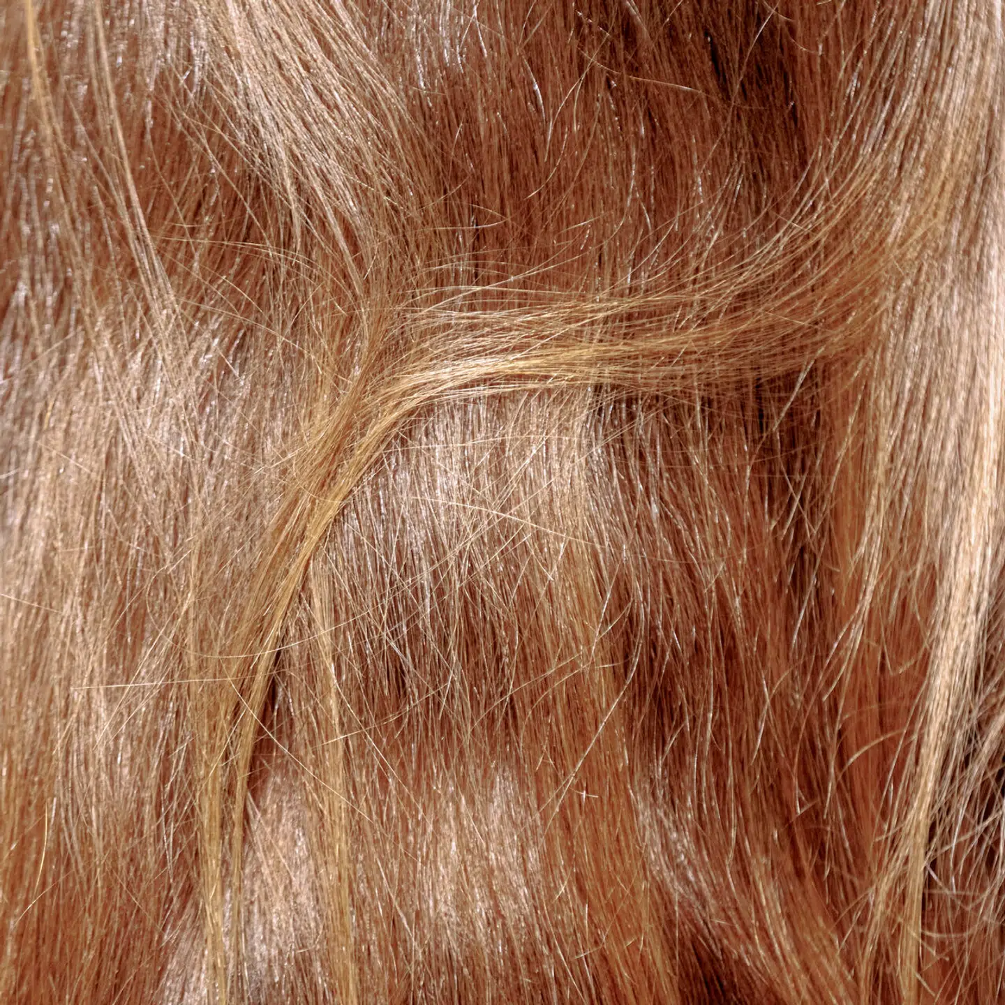 Det er genet MC1R, som danner det brune farvestof i hud og hår. Det farvestof har de rødhårede ikke.