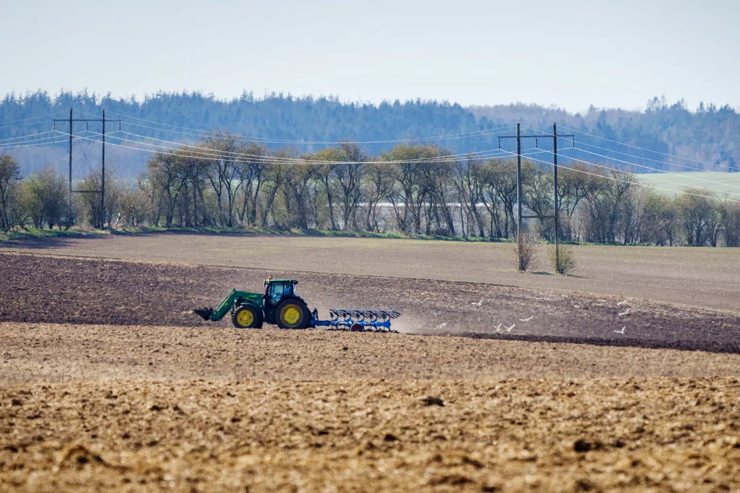 De store jordejere kan blive de store vindere, fordi der pludselig bliver billig jord til salg, mener Rasmus Vigen.