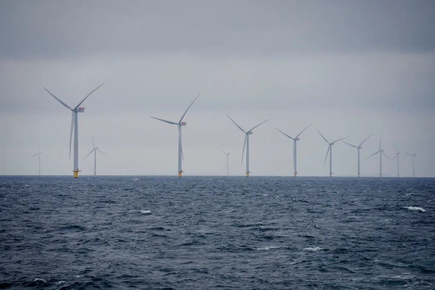 I fremtiden vil mere og mere af danskernes energi blive baseret på havvindmøller, og energien vil blive transporteret i land med sårbare undersøiske kabler. Her havvindmølleparken ved Anholt.