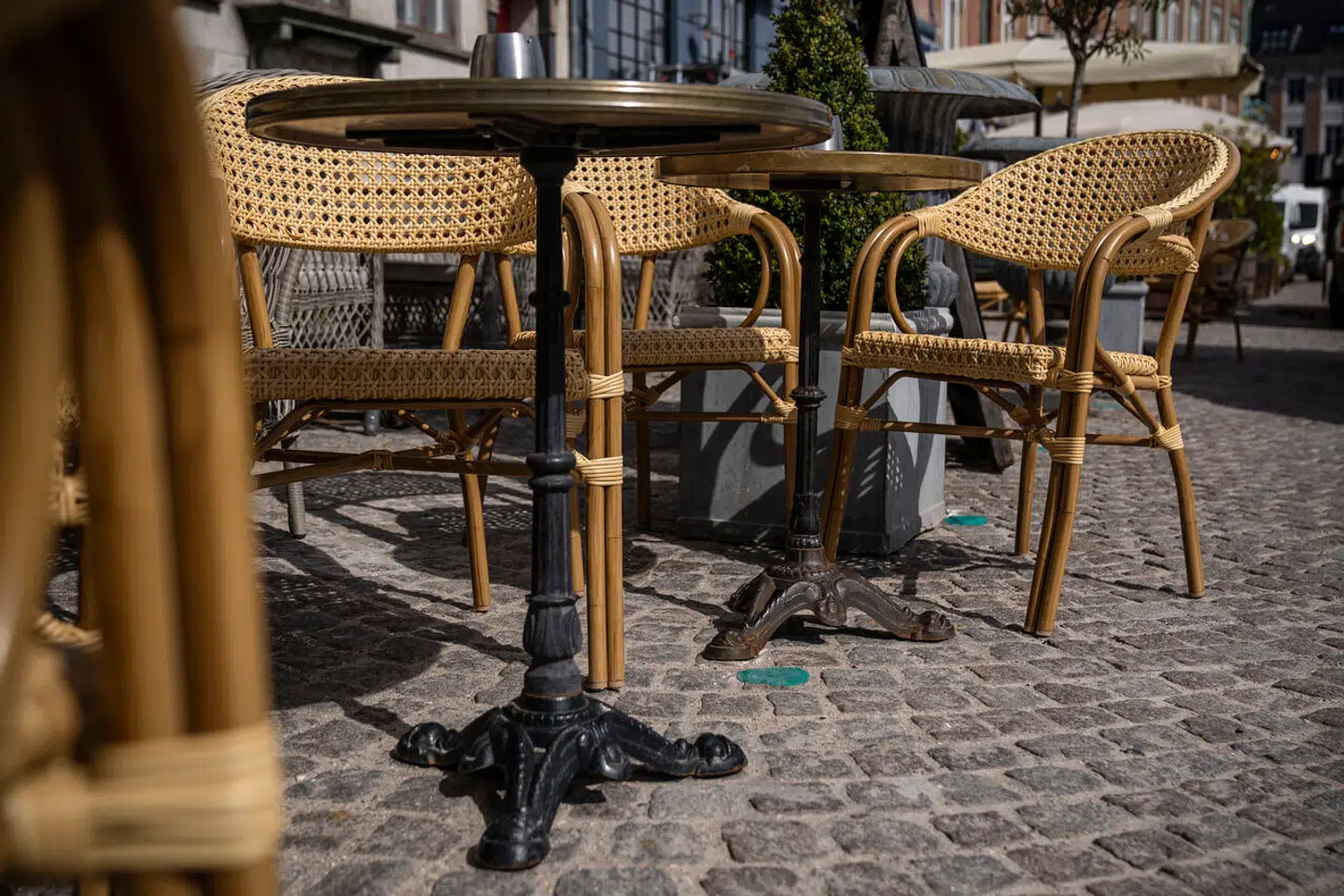 Cafégæster i København skal fremover lege jorden er giftig.