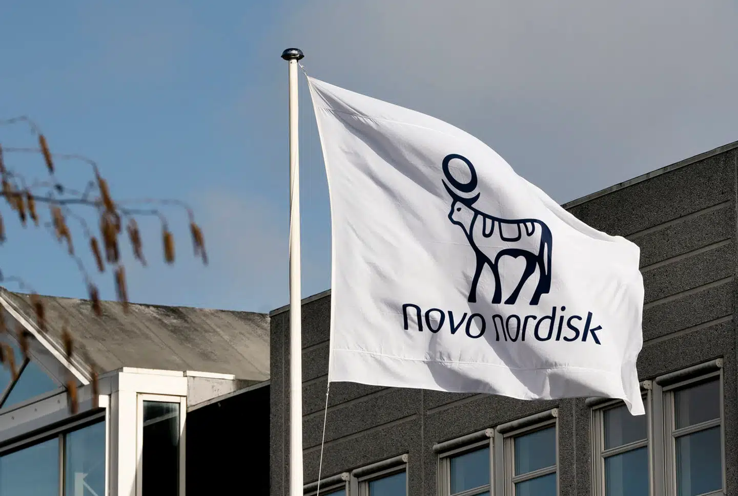 Novo Nordisk krydsede milepælen, efter at det tidligere på dagen opjusterede sine forventninger til årets resultat (arkivfoto).