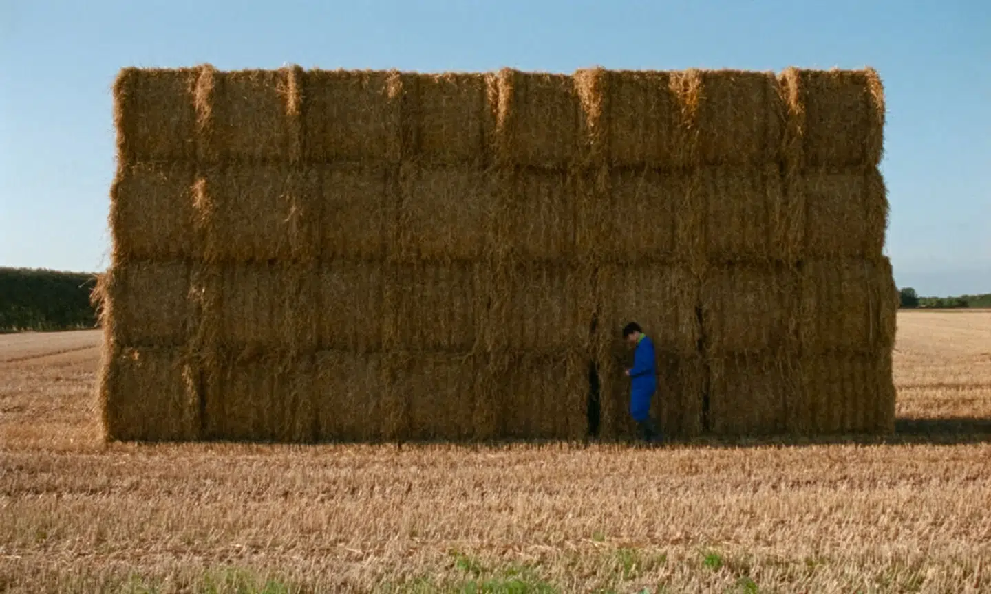 Instruktør Malene Choi, der er uddannet fra Filmskolen, er i gang med en trilogi om adoption. »Stille liv« er anden del og første del var hybriddokumentaren »The Return«. »Stille liv« handler om 19-årige Carl, der føler sig splittet mellem sin danske familie og sit koreanske ophav.