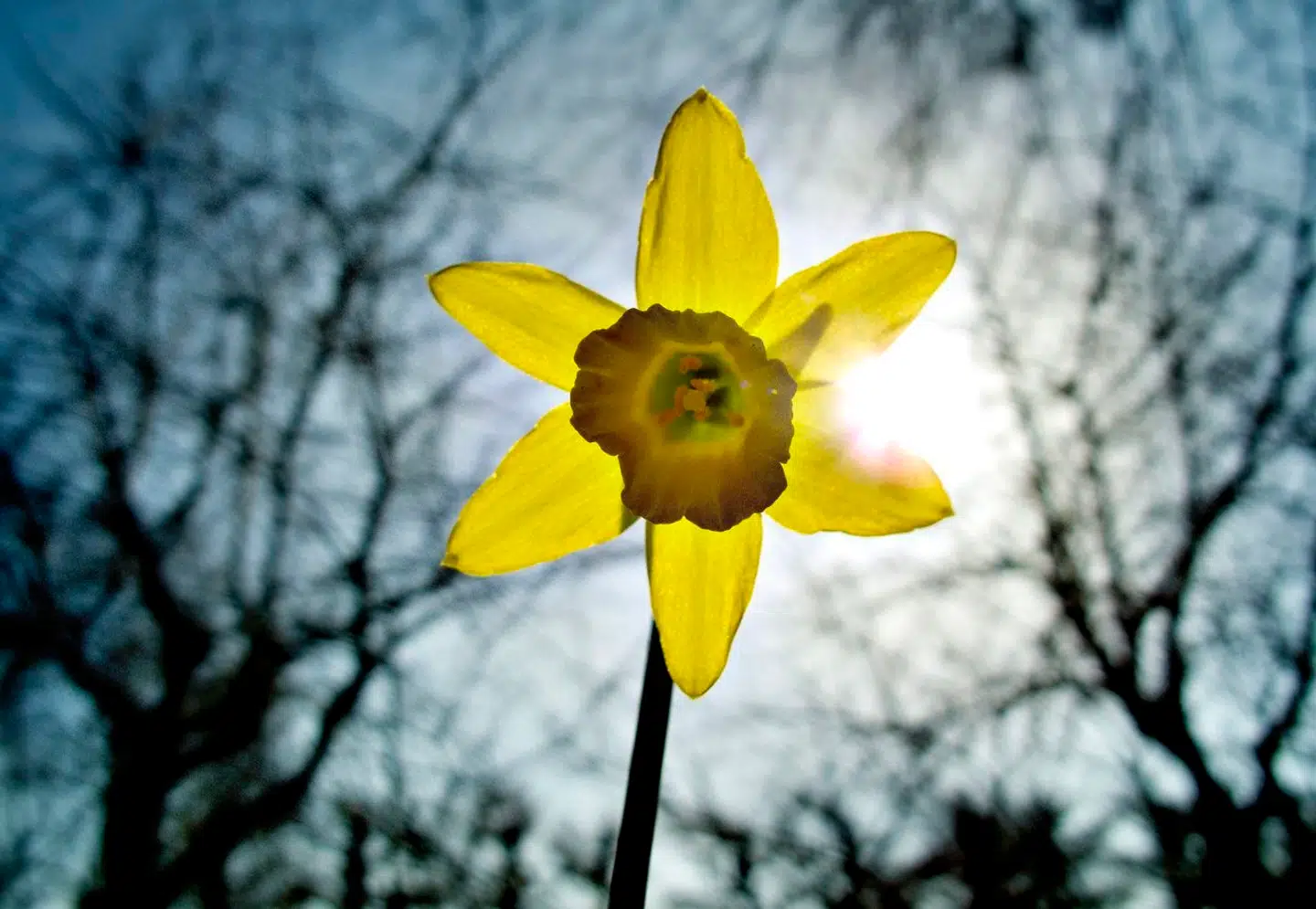 »Vi på Berlingske eller andre skal ikke bilde os, at modgang eller kriser er lette. Når man står i kriser, kan der være et totalt fravær af håb. Men vi skal alligevel vove at tale om, hvad der kommer efter,« skriver Thomas Bernt Henriksen i denne leder. Og her er påsken en god anledning.