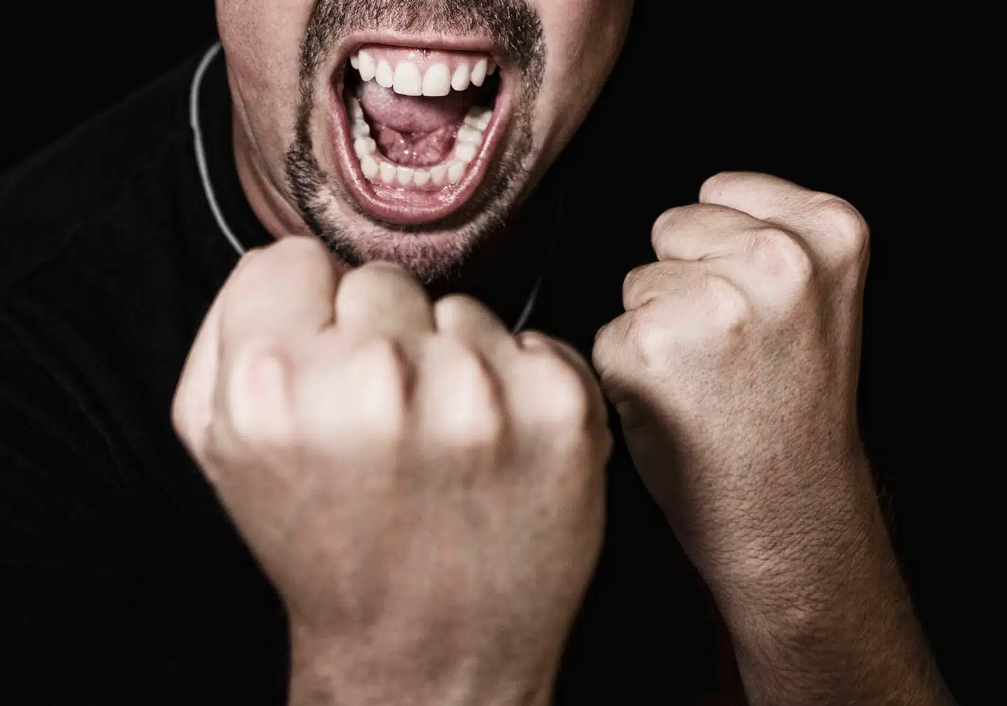 Vrede er en af menneskets grundfølelser, og uden den ville vi ikke eksistere. Fra naturens hånd er den et redskab til at undgå fysisk kamp.